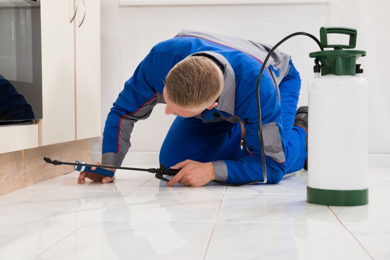 Bug Extermination Service in Katy, TX