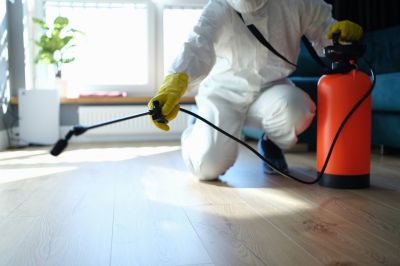 Trapdoor Spider Extermination in Frisco, TX