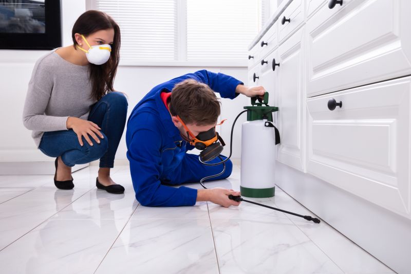 Bug Extermination Service in Arlington, TX