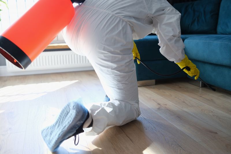 Mites Extermination in Katy, TX