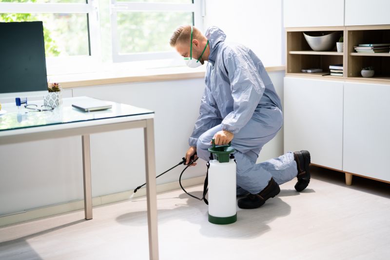 Pest Extermination Service in Frisco, TX