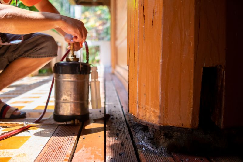 Termite Prevention in Katy, TX