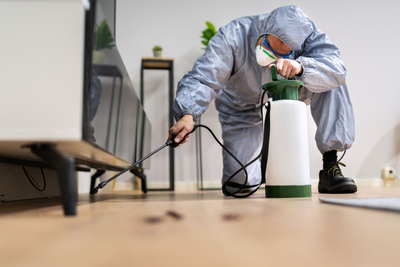 Yard Pest Control in Katy, TX